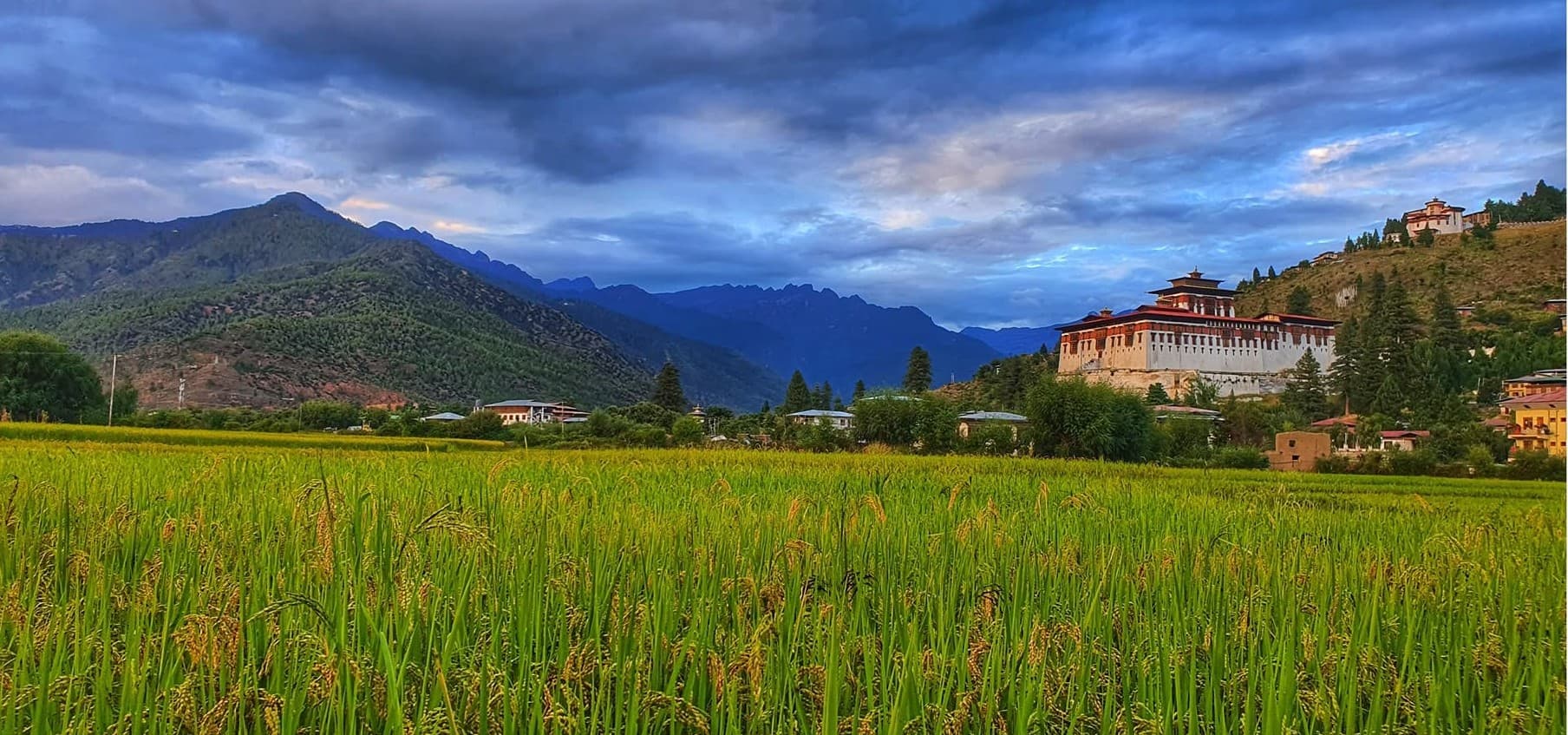 Cultural Bhutan