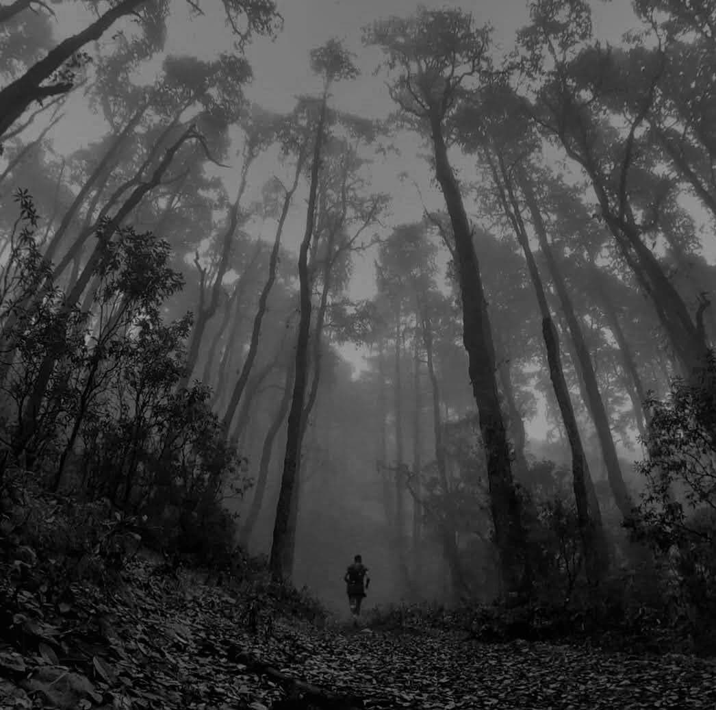 Bumthang Owl Trek Trail Run