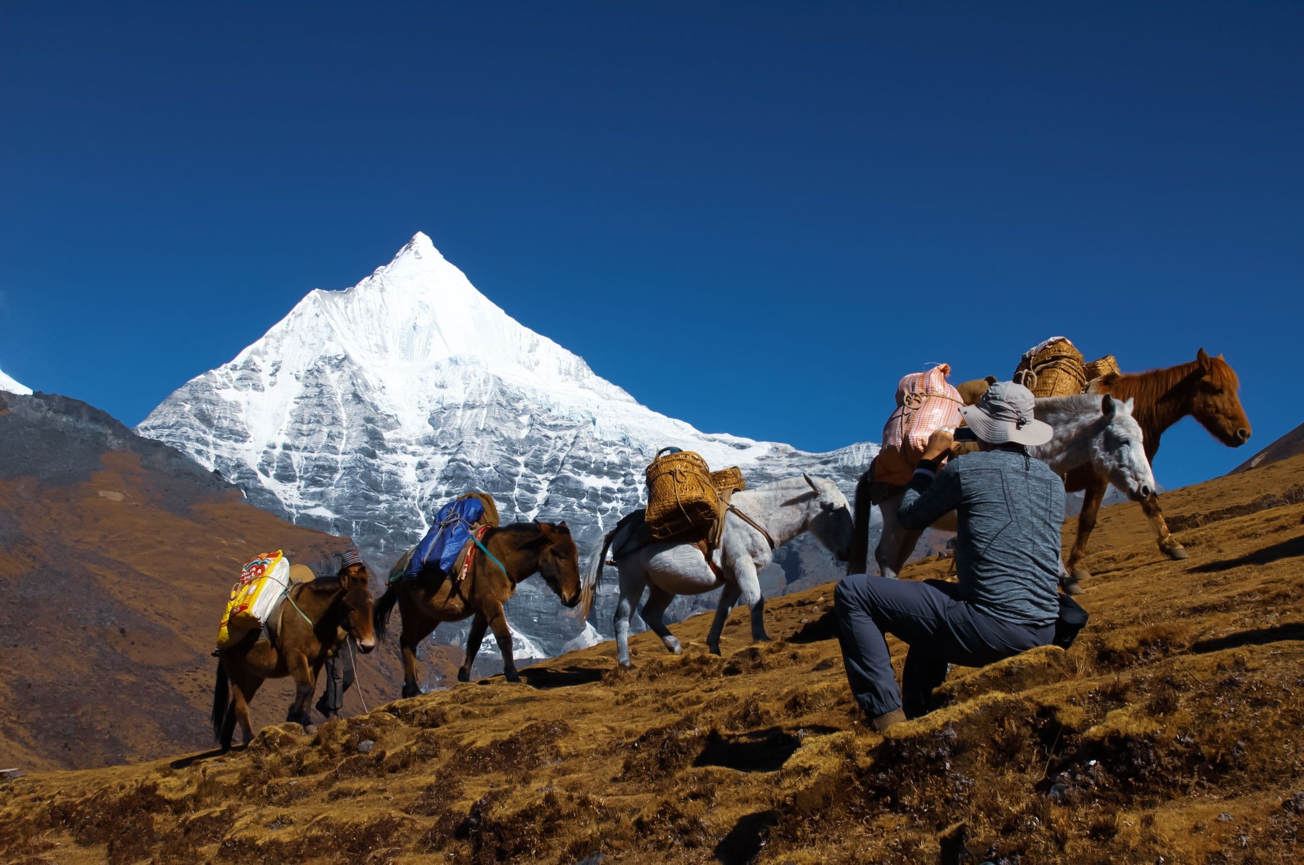 Trekkers on a high alpine trail in the Bhutanese Himalaya