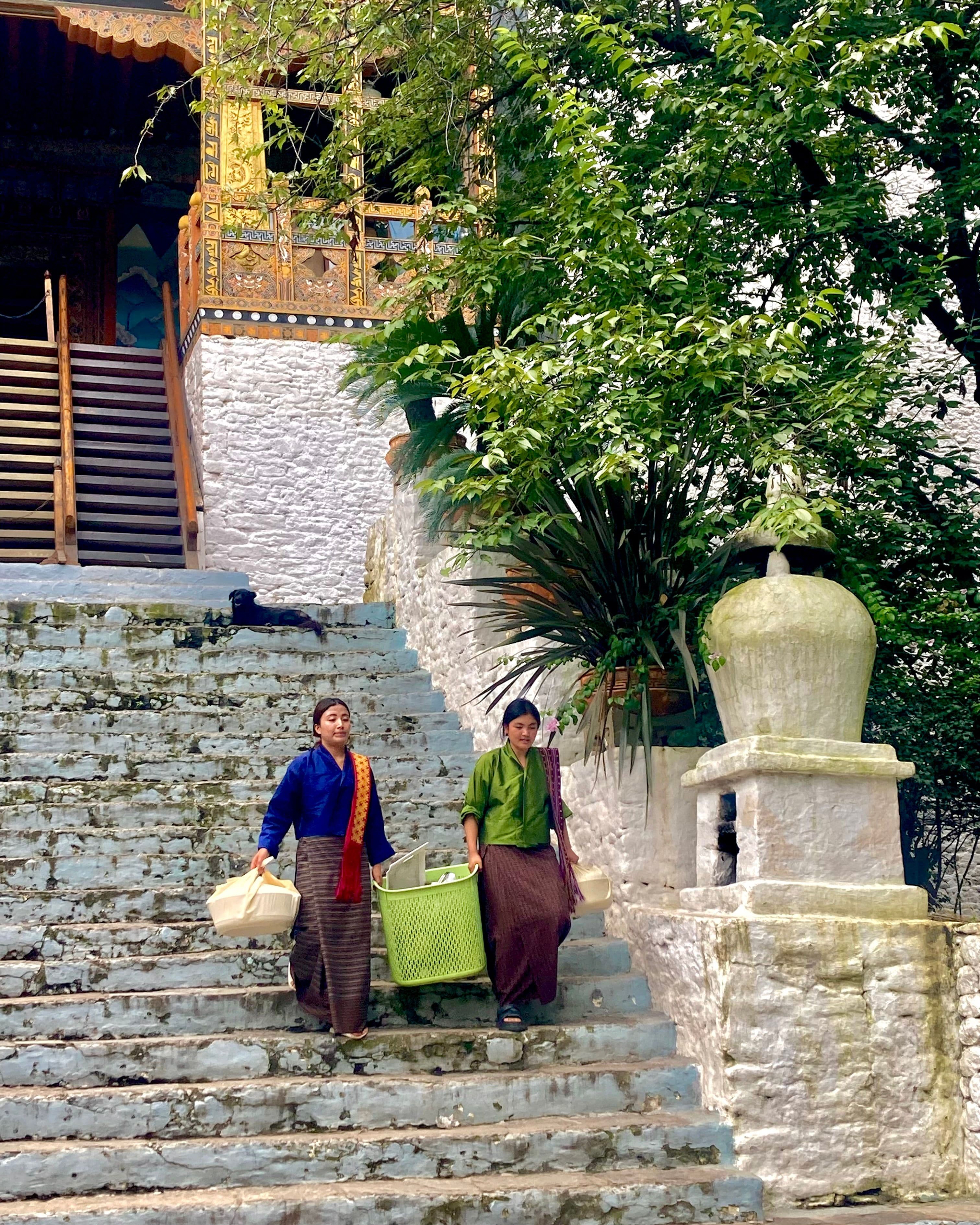 Travellers walking a valley trail on an easy-paced day