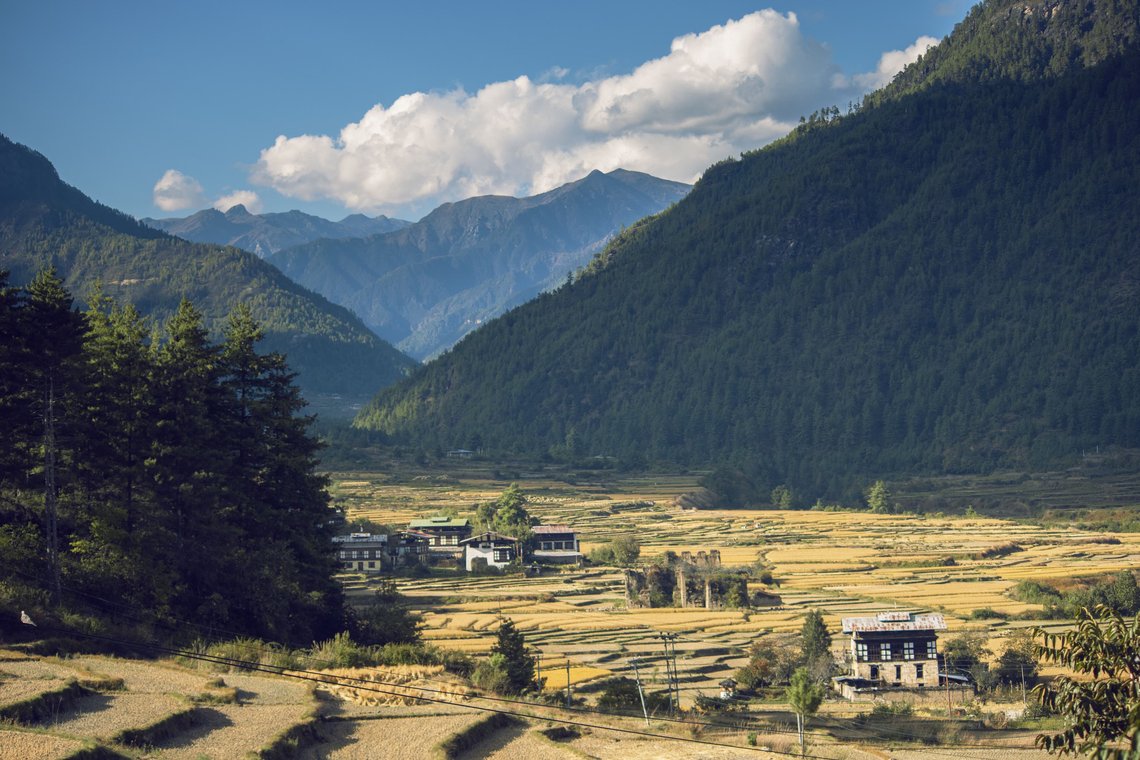 A guide leading travellers through a Bhutanese valley